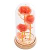 LED Luminous Rose Flowers in Glass Cover - Perfect Gift for Mother's Day, Valentine's Day, and Christmas
