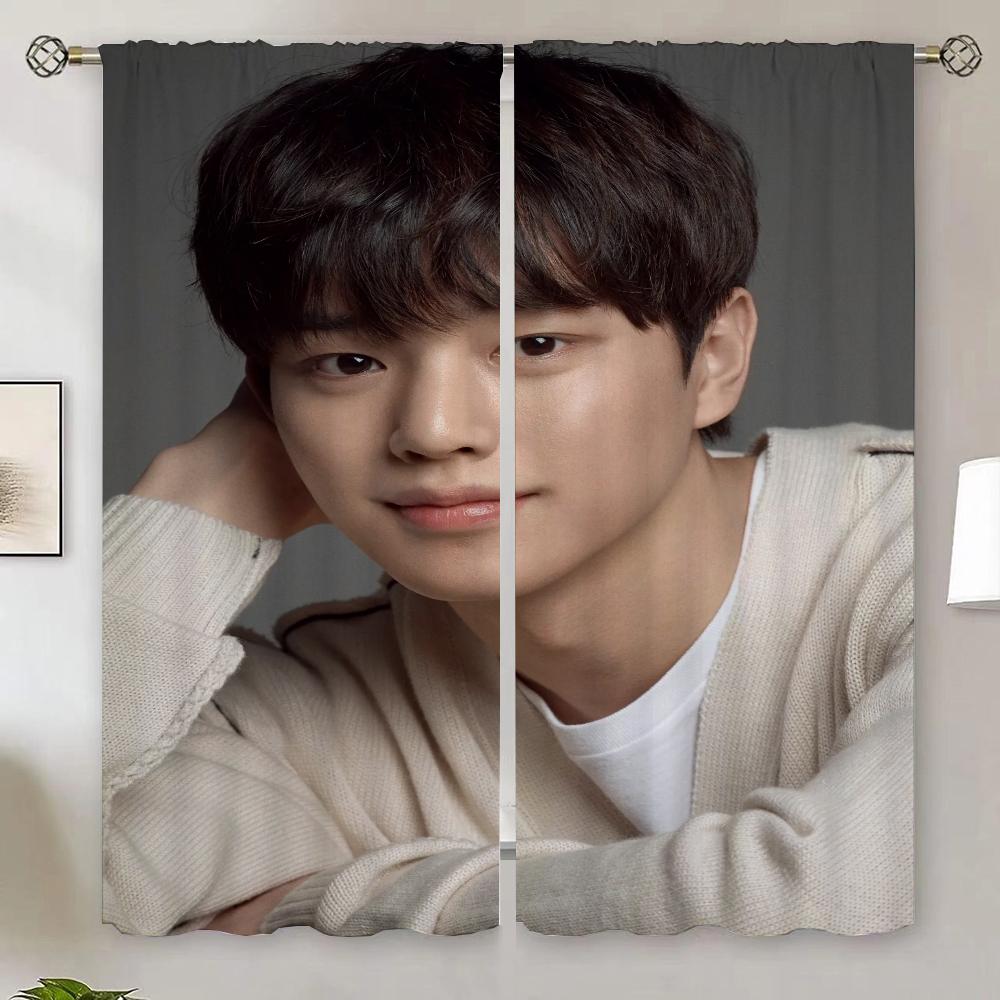 

Song Kang Разделительные шторы для украшения спальни Рождественские шифоновые шторы Подхваты для кухонных штор Домашние шторы Жалюзи W50xH70cmx2pcs-CL