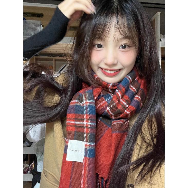 2025 Winter New Scarf Women'S Imitation Cashmere Extended Thousand Bird Plaid Scarf Scarf Neck Tassel Shawl