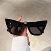New Cat Eye Fashion Sunglasses Woman Vintage Luxury Brand Designer Sun Glasses For Female UV400 Protection