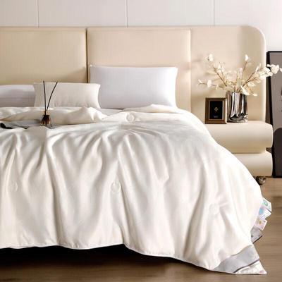 Fangwang Tussah Silk Quilt