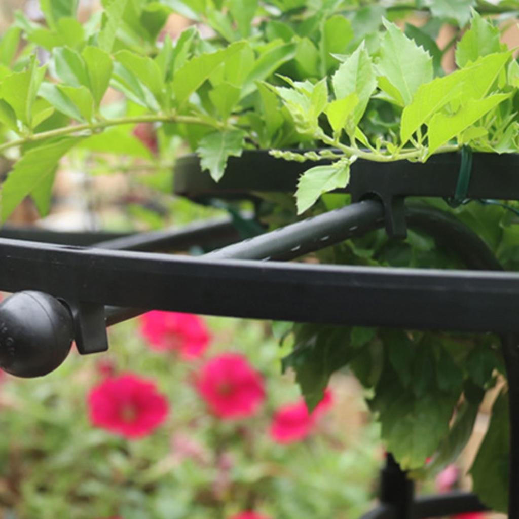 Zahradní mříž pro popínavé rostliny Mříž s houbovým vrcholem pro pokojové rostliny Popínavé rostliny Růže Plamének Zelenina