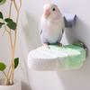 Parrot Perch Small Tree Mineral Frosted Stand For Budgies Cockatiels Beak Nail Grinding Cage Display Home Pet Bird Lovers Gift