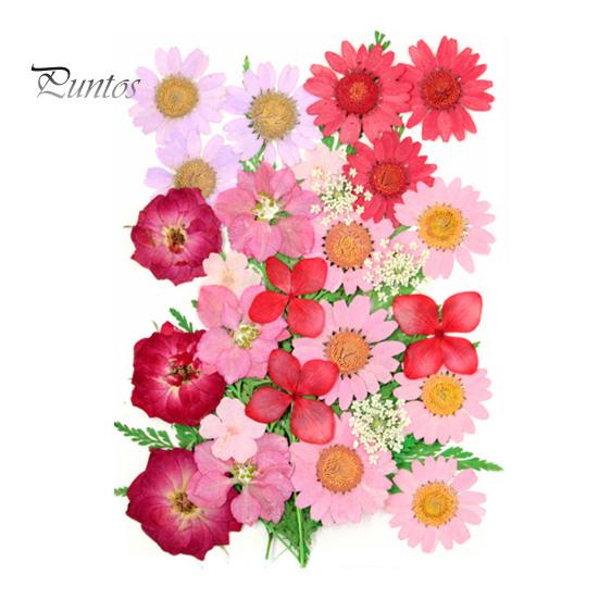 DIY Harz Kunst Blumen-Set 1 Set Getrocknete Gepresste Blumen Bunte Natürliche Bastelbedarf Kerzenherstellung Schmuck Epoxidform Vase Nagelkarte Scrapbooking