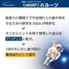 APADENT Total Care 120g Toothpaste for Bad Breath, Periodontal Disease, and Cavity Prevention (Quasi-drug)