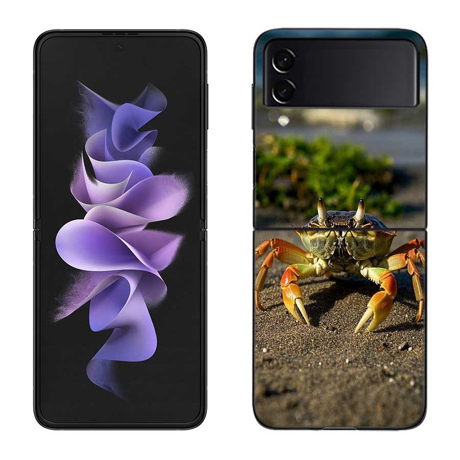 Unique Animal Crab Phone Case For Samsung Z Flip 7 6 5G Galaxy Z Flip 5 4 3 Black Hard Cell Cover Luxury PC Shell Coque