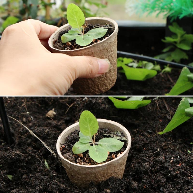 Degradable Paper Pulp Seedling Nursery Pots Eco Friendly Germination Planter Cups For Garden Flowers Herbs Orchard Plant Cultivation