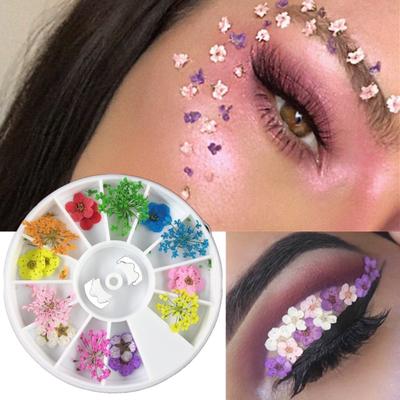 Glitter Highlight Eye Shadow Powder - Eye Makeup Sticker Glitter Highlight Eye Shadow Powder - Eye Makeup Sticker