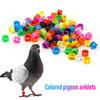 100 Piezas Nuevos Anillos para Patas de Paloma Identificar Bandas para Palomas 8 mm Clip de Plástico para Loro Anillo Digital para Pie Suministro para Entrenamiento de Palomas Aparatos para Pájaros