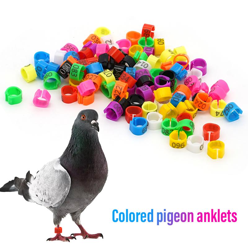 100 Piezas Nuevos Anillos para Patas de Paloma Identificar Bandas para Palomas 8 mm Clip de Plástico para Loro Anillo Digital para Pie Suministro para Entrenamiento de Palomas Aparatos para Pájaros