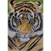 DIY Tiger 5D Diamond Maling Korssting Hel Rund Bor Harpiks Mosaikk Dyr Diamantbroderi Korsstingsett Hjemdekor