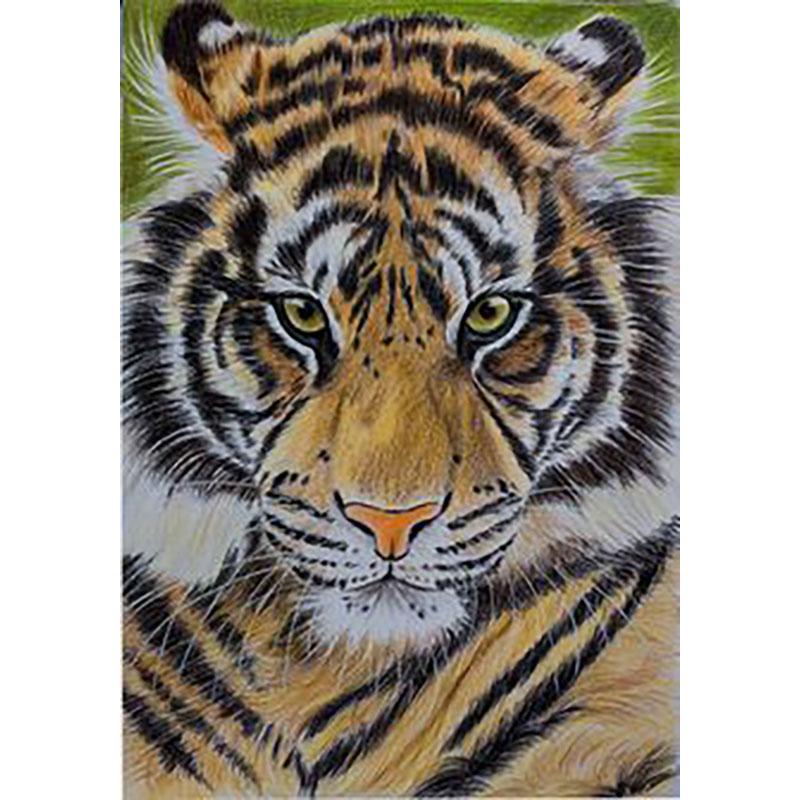 DIY Tiger 5D Diamond Maling Korssting Hel Rund Bor Harpiks Mosaikk Dyr Diamantbroderi Korsstingsett Hjemdekor