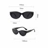 Women's Summer Sunglasses Small Frame Cat Eye Shades Retro Hip-Hop Glasses Fashion Summer Accessories
