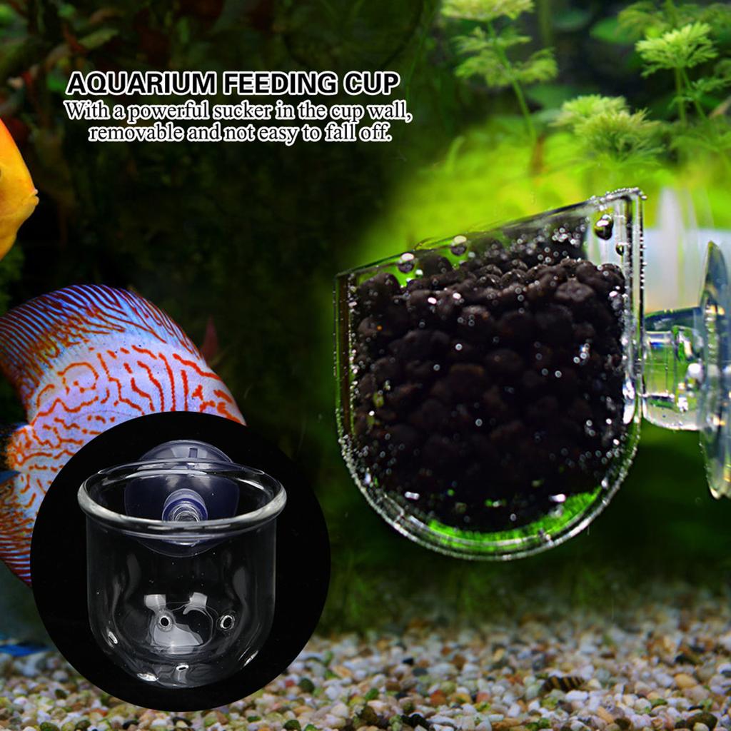 Small   Glass Plant Feeding Cup Fish Red Worm Feeder Cups for Aquarium(S)