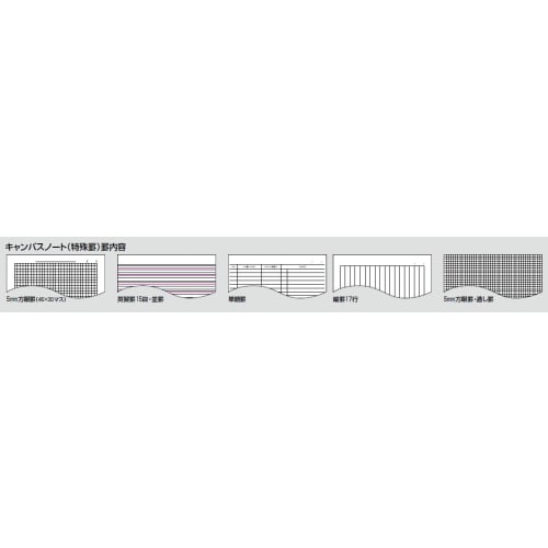 KOKUYO Note Campus Note B5 5mm grid ruled 30 sheets No-13S5