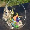 Schrägschnitt Schale Glasvase Mikro-Landschaftsbehälter Glas-Terrariumschale zur Dekoration Party Garten Mittelstück Hochzeit