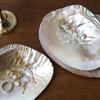 Pretty Multifunctional Shell Shape Vibrant Color Decorative Storage Holder Storage Container Art Craft Jewelry Storage Tray