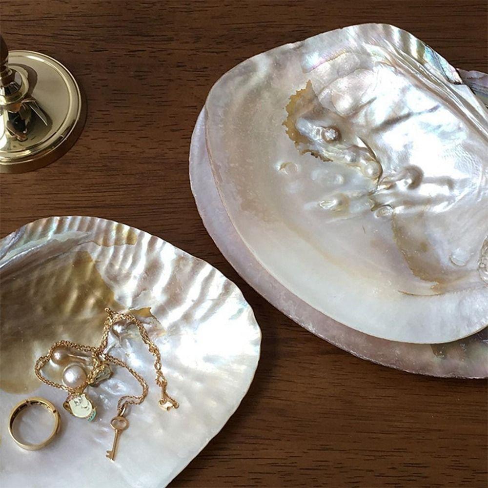Pretty Multifunctional Shell Shape Vibrant Color Decorative Storage Holder Storage Container Art Craft Jewelry Storage Tray