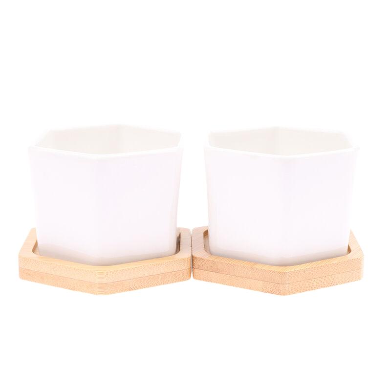 Seramik Saksı Beyaz Altıgen Seramik Saksı Tepsili Avrupa Saksısı Basit Sukulent Bitki Kabı Küçük Bonsai Saksıları