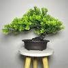 Zielone Sztuczne Drzewko Bonsai Sosna Pozdrowień Sztuczna Roślina w Doniczce Sztuczna Roślina Zielona Dekoracja Domu
