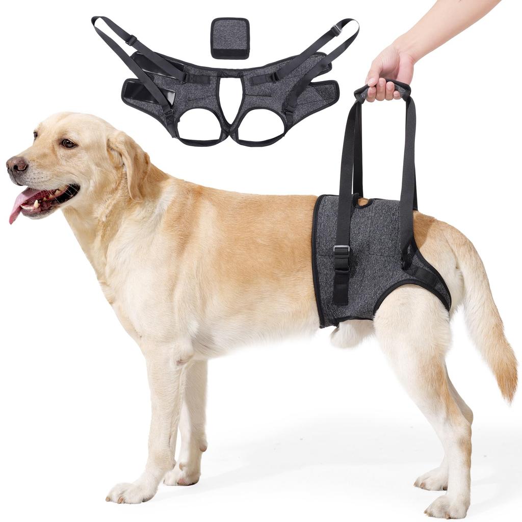 THKWOO Dog Care Walking Assistance Adjustable Large for Hind Leg Elderly Rehabilitation Dog Care Ideal for Rehabilitation Wear After Arthritis In Hind