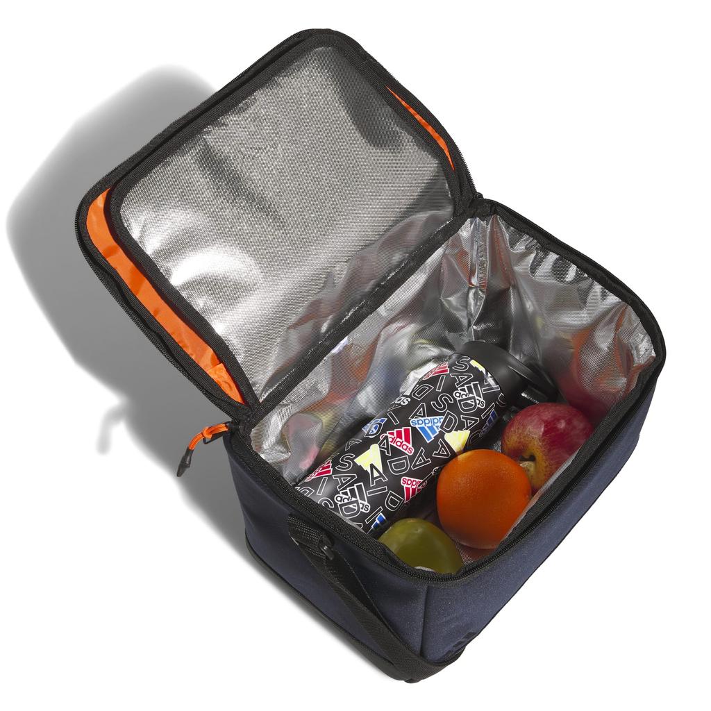 Cooler bag