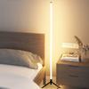 Remote Control Corner Ambience Lamp Color Changing LED Floor Lamp For Bedroom Living Room