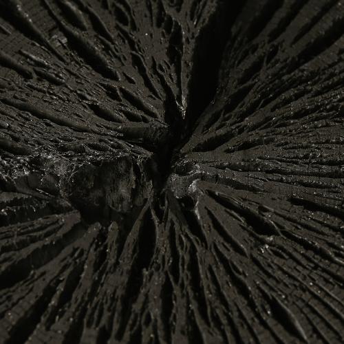 Barle Bar Charcoal Melting Cleansing Balm