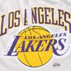 Nike Los Angeles Lakers NBA Knit Letter Print Straight Shorts Men Bottoms Birch DB1954-051