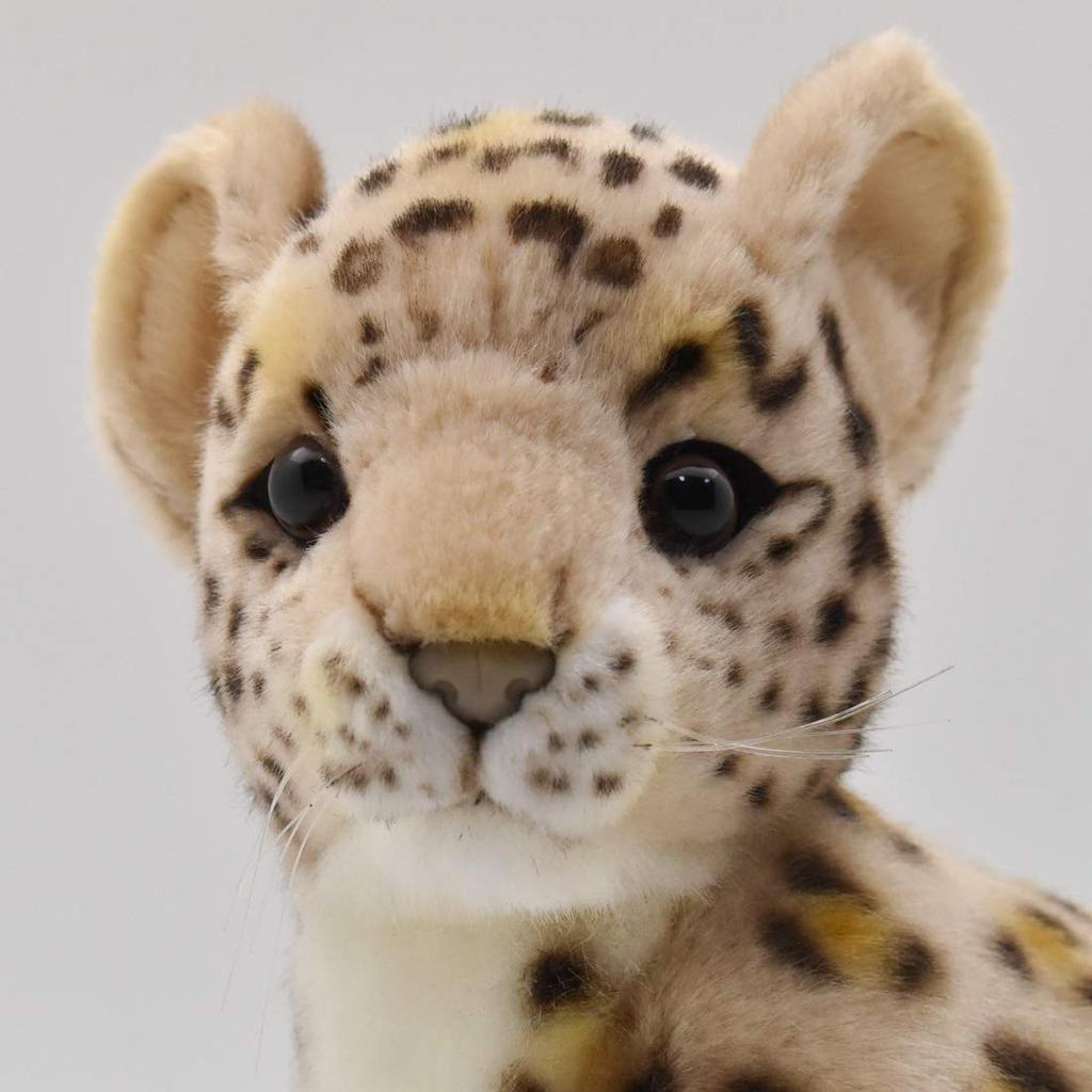 Baby Leopard 3423 No.