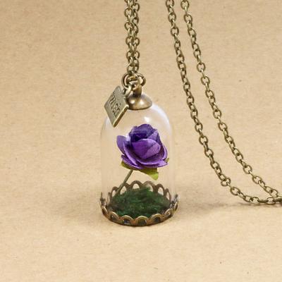 Beauty and The Beast Retro Glass Vial Necklace Butterfly Wish Accessories Necklace Red Rose Dried Flower Jewelry for Women Girls