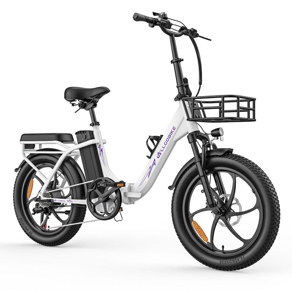 Allgobike AC20 Elektrische Fiets 250W Motor 20" Band Stadsverkeer Elektrische Fiets 48V 20Ah LED Display Maximaal Bereik 60Km 7 Versnellingen Maximaal Laadvermogen 120Kg