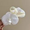 Sweet Butterfly Orchid Hair Claw Vacation Style Seaside Vacation Headwear  Daily