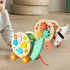 Animal Push and Pull Along Toy Building Blocks for Kids,Activity Center,Walking Wooden Shape