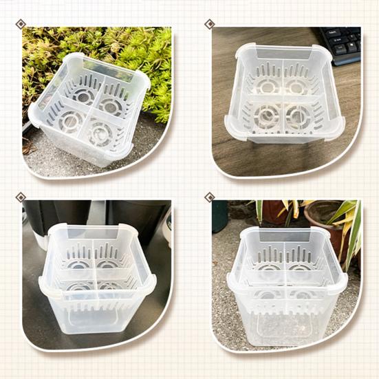 Tulip Bulb Planter 4-Cell Hydroponic Flower Pot with Reservoir Clear Plant Pot with Inner Drainage Pot for Indoor Gardening