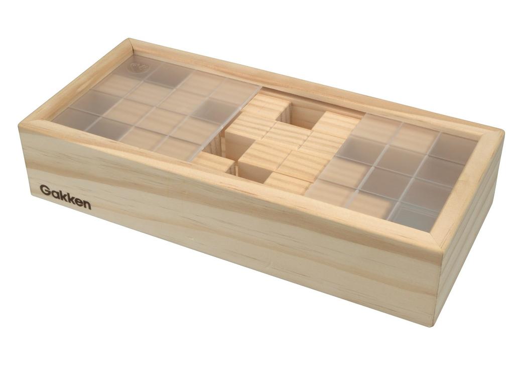 Gakken Pentacube 83409 Brain-Boosting