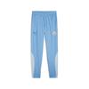 Puma Mcfc Pre Match Woven Pants
