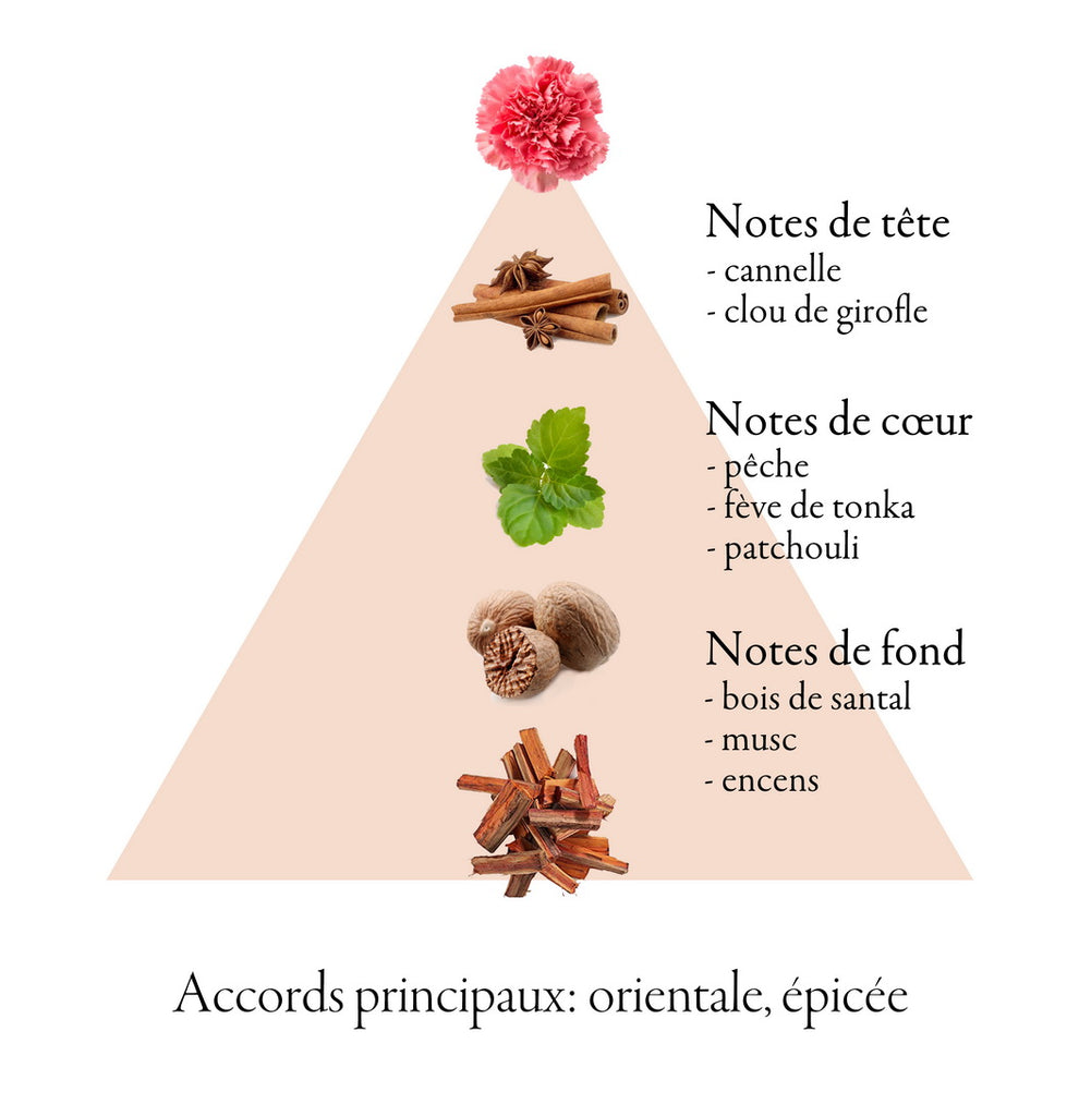 FAMILLE GRASSE PARFUMS (Frankreich)  HOMME Eau de Parfum für Männer 5ml