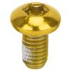 M5x10mm Mountain Bike Brake Disc Titanium Steel Screw Bicycle Universal T25 Head BoltsYellow
