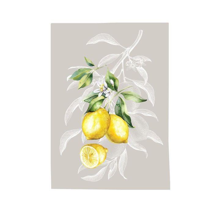 Lot de 3 Torchons Citron