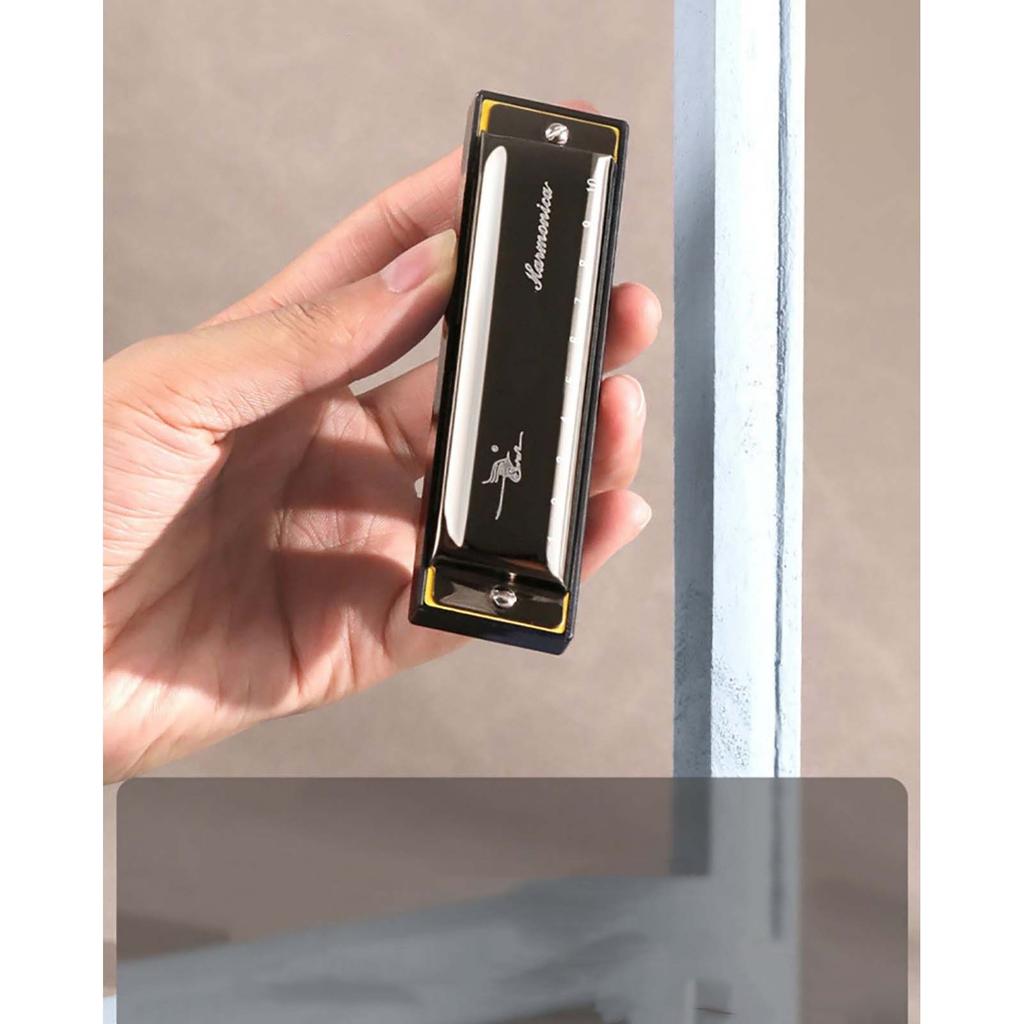 10 Hole C Key Blues Harmonica Beginner To Play 10 Hole Harmonica