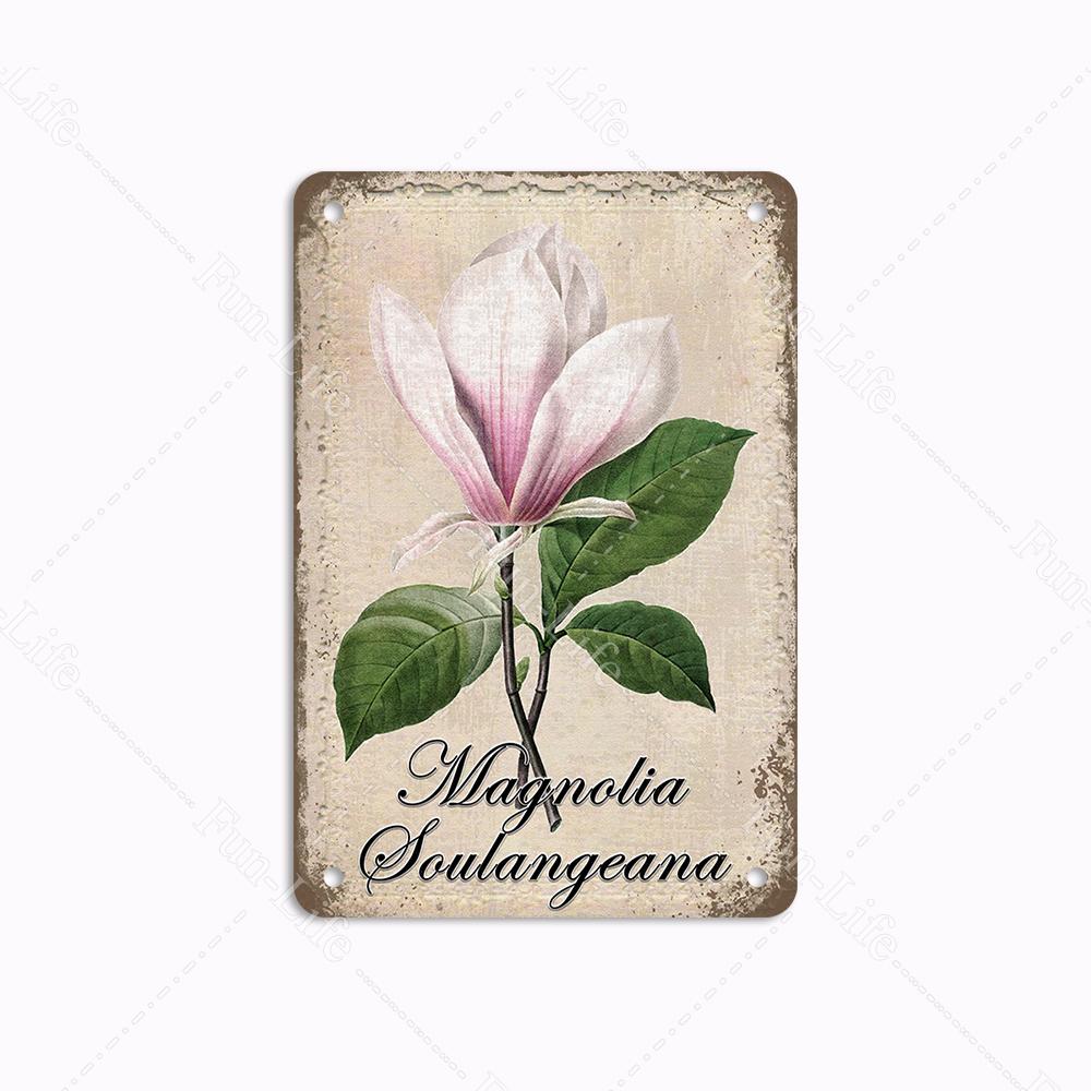 

Цветочные винтажные металлические жестяные вывески в стиле ретро, ​​зеленые растения, металлические плакатные тарелки, табличка, бар, паб, сад, ферма, домашний декор стен 20x30 см 20x30cm(7.8x11.8in)