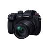 Panasonic Lumix GH5M2 Mirrorless Camera Lens Kit High Magnification Zoom Lens Black DC-GH5M2H