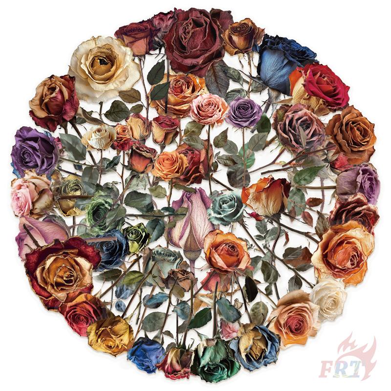 50Pcs/Set Romantic Dried Rose Series 01 PET Stickers Waterproof DIY Fashion Doodle Decals Stickers