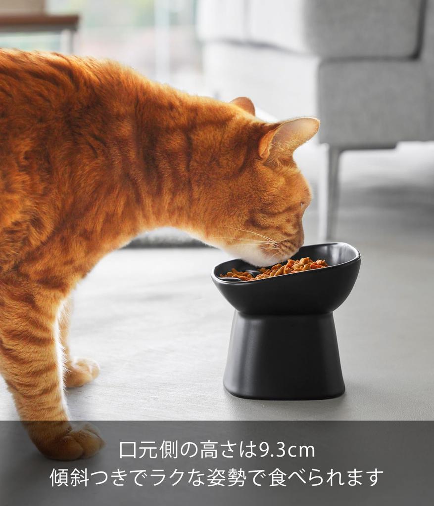 Yamazaki Eating Ceramic Pet Food Pet with Dishwasher Microwave 10558 (Yamazaki Industries) Anti-Fast Bowl, Slanted, H11.5cm, Black, W12×D12×H11.5cm,