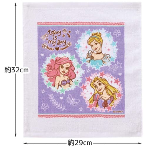 Skater Towel Towel Set of 3 Disney Princess 23 OAC1T-A