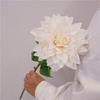 Green Leaves Artificial Dahlia Flowers Simulation Dahlias Branch  Hotel Wedding Decoration