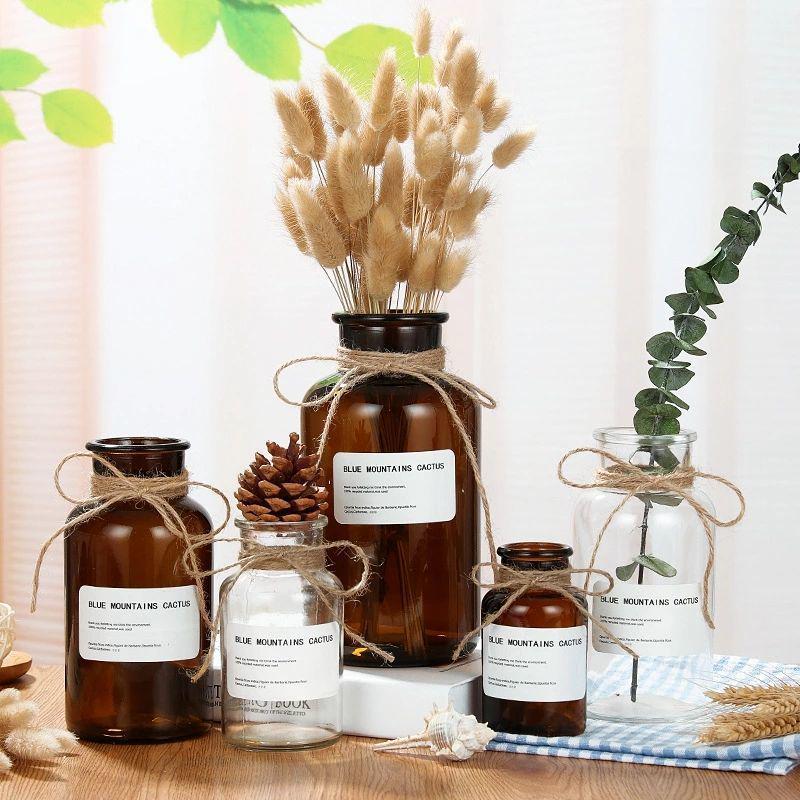 Large Retro Transparent Glass Vase for Pothos and Dried Flowers - Tabletop Home Decoration