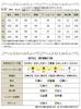 Gold Japan Plus Size Long Faux Layered Skipper Perfect for and Size Black Women's Dress, Sleeves, Top, Stretch, Summer, Spring, Autumn, Fem-486, 4L,