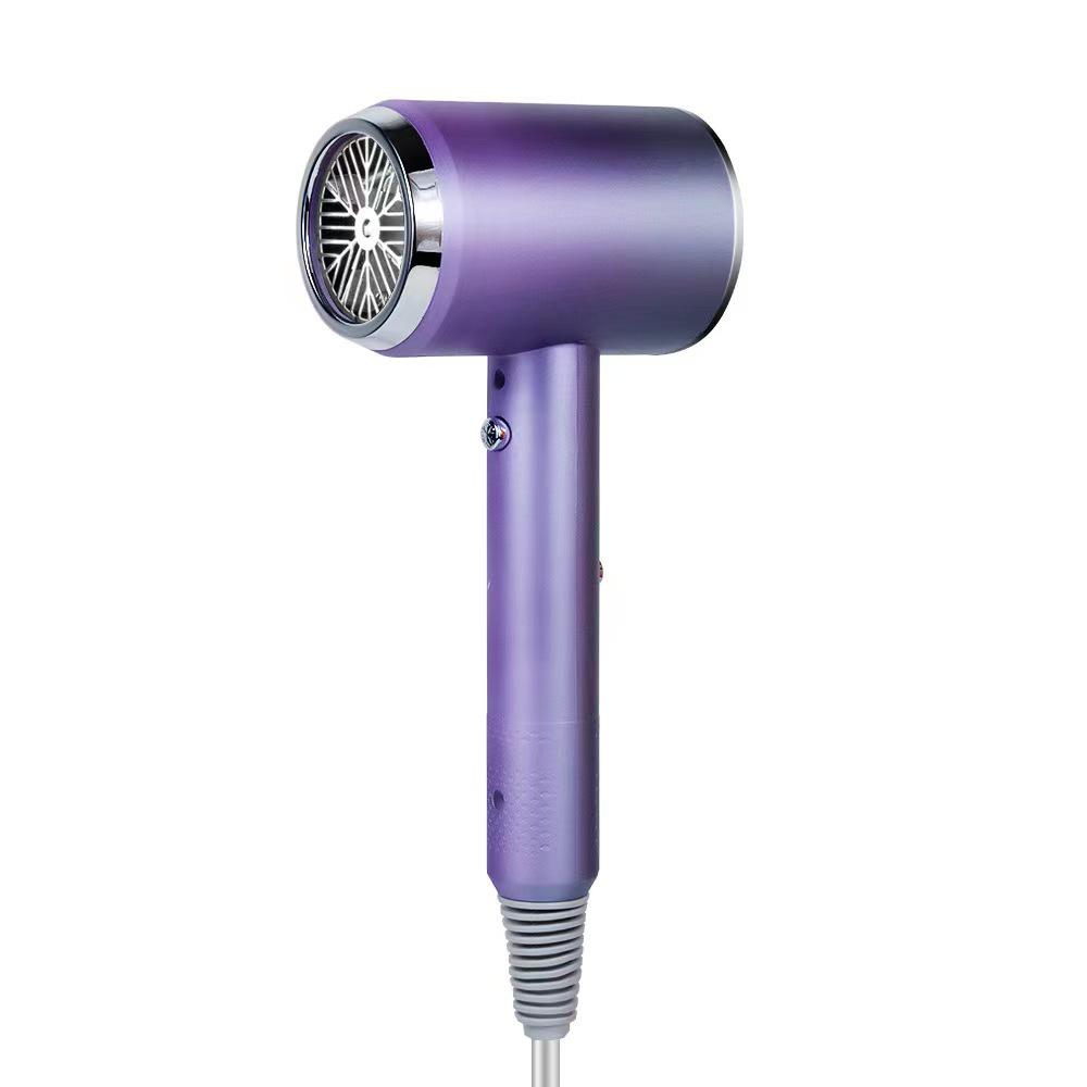 High Power Blue Light Ionic Hair Dryer: Portable, Efficient, Noise-Reducing, Quick-Drying